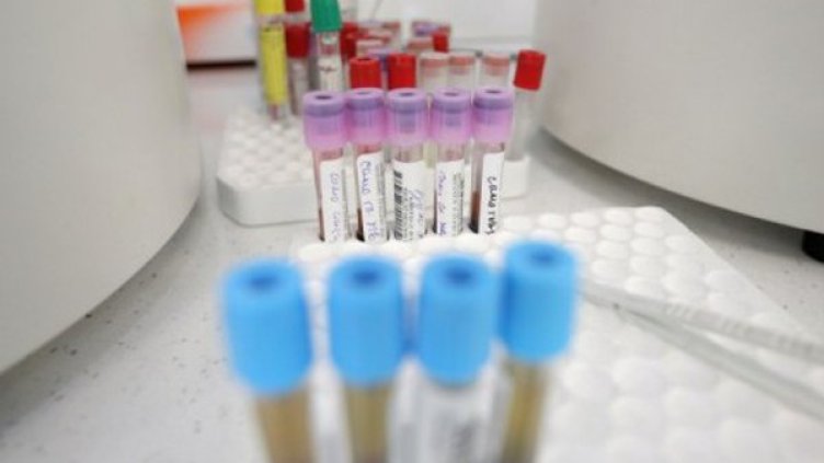 Снимка: Димитър Кьосемарлиев