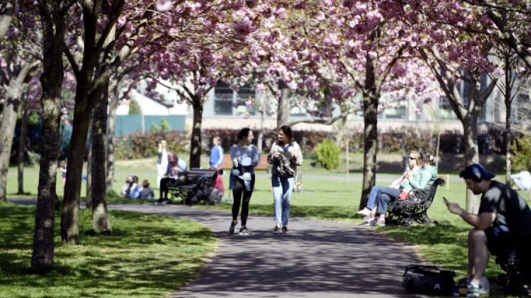 Снимка: БГНЕС