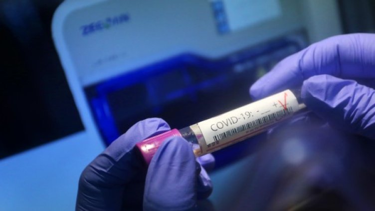 Снимка: БГНЕС