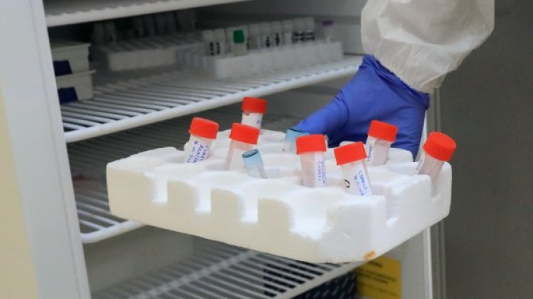 Снимка: архив, БГНЕС