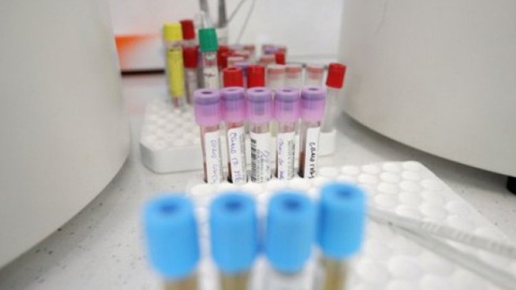 Снимка: Димитър Кьосемарлиев