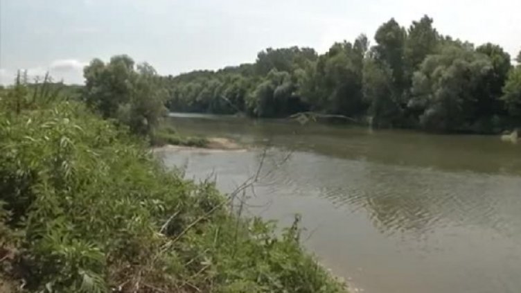 Десетки мъртви риби в Янтра, но замърсяване нямало