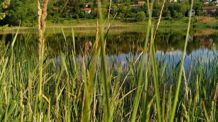 Снимка: архив, БГНЕС