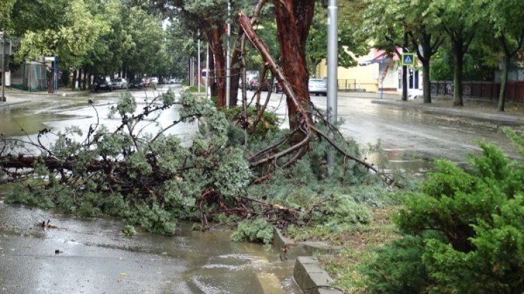 Снимка: БГНЕС