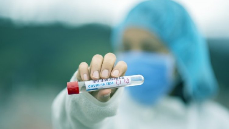 Снимка: Pixabay