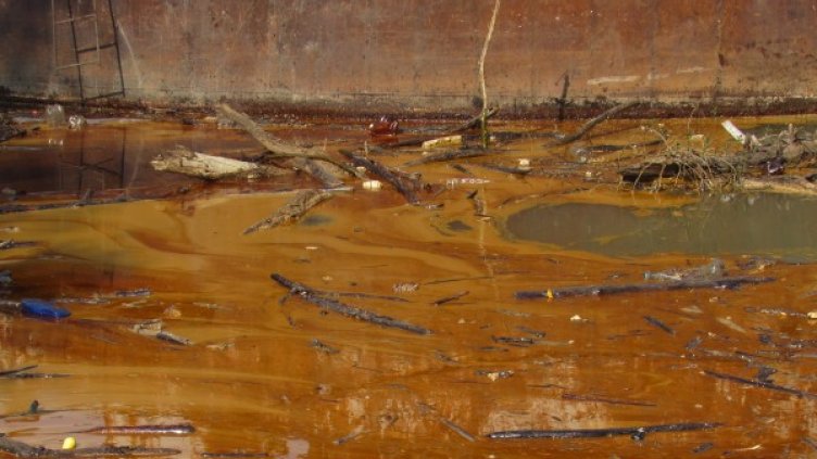 Снимка: БГНЕС, архив