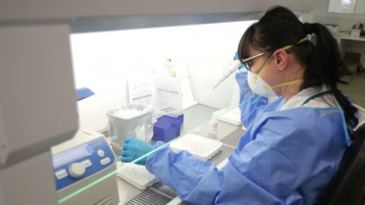 Снимка: Димитър Кьосемарлиев, Dnes.bg