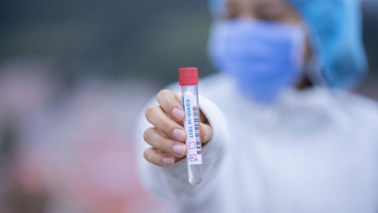 Снимка: Pixabay