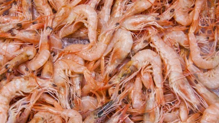 Снимка: Pixabay