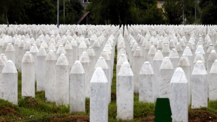 Снимка: архив, БГНЕС