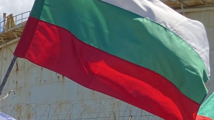 Снимка: архив, БГНЕС