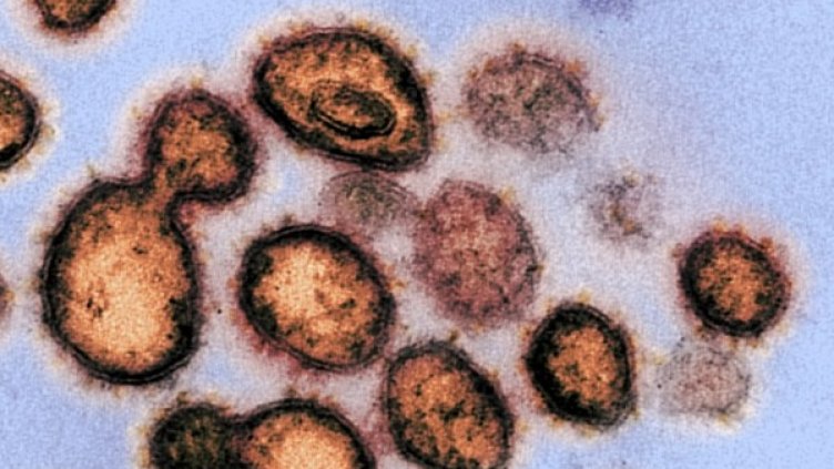 Снимка: архив, БГНЕС