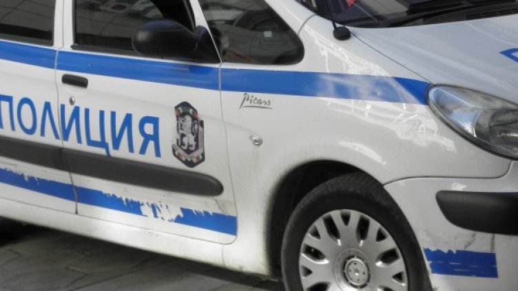 Снимка: архив, БГНЕС