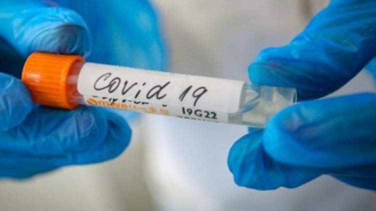 Снимка:Димитър Кьосемарлиев, Dnes.bg