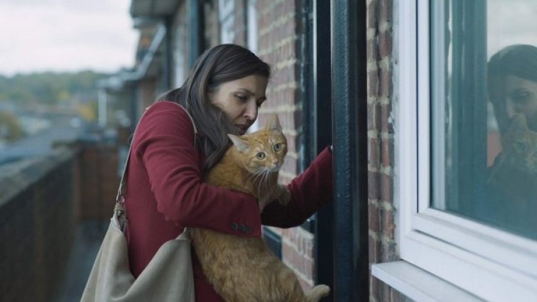 Кадър от "Котка в стената". Снимка: София Филм Фест