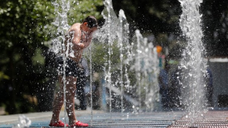 Снимка: БГНЕС