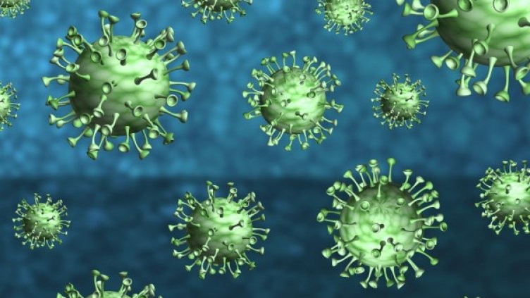 Снимка: Pixabay