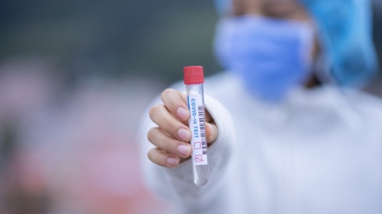 Снимка: Pixabay