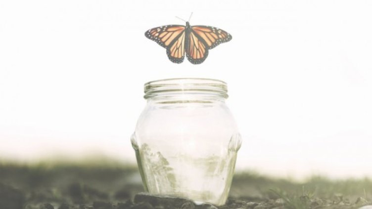 Снимка: Istock