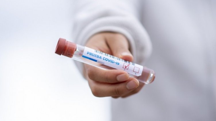 Снимка: Pixabay