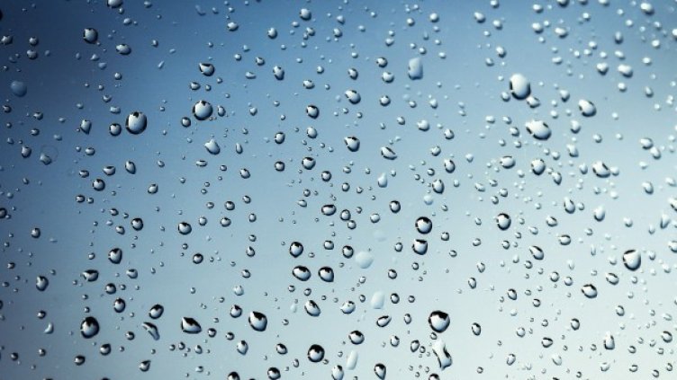 Снимка: Pixabay