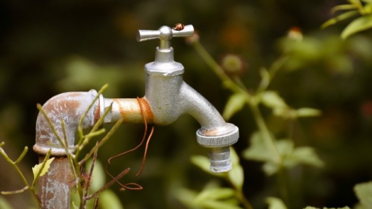 Снимка: Pixabay