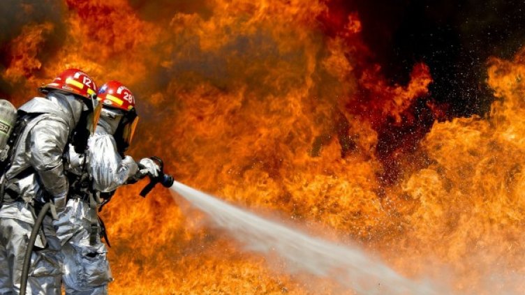 Снимка: Pixabay