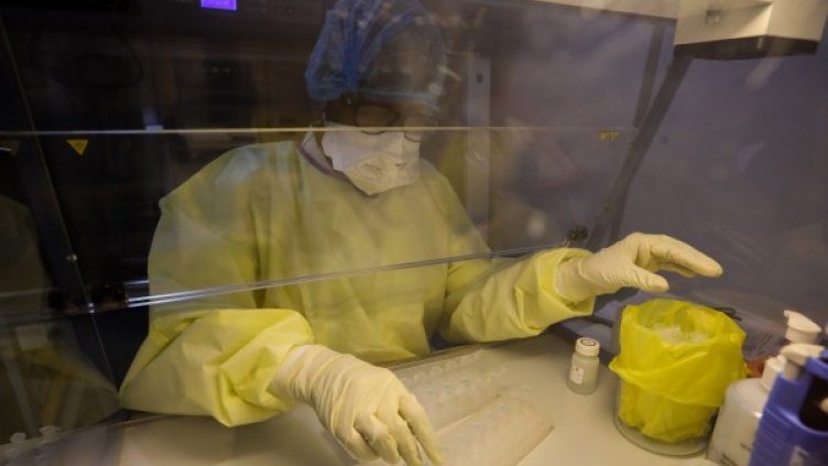 Снимка: БГНЕС