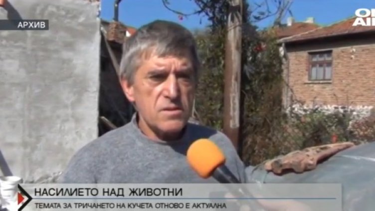 Снимка: Bulgaria ON AIR.