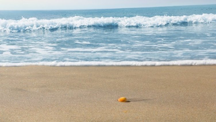 Снимка: Pixabay