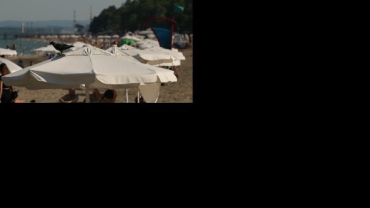 Снимка: архив, БГНЕС