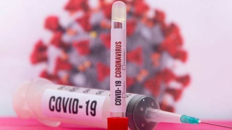 Снимка: Pixabay