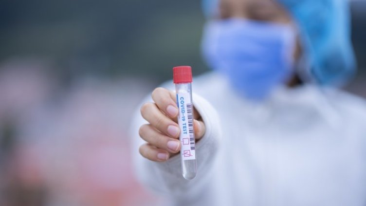 Снимка: Pixabay