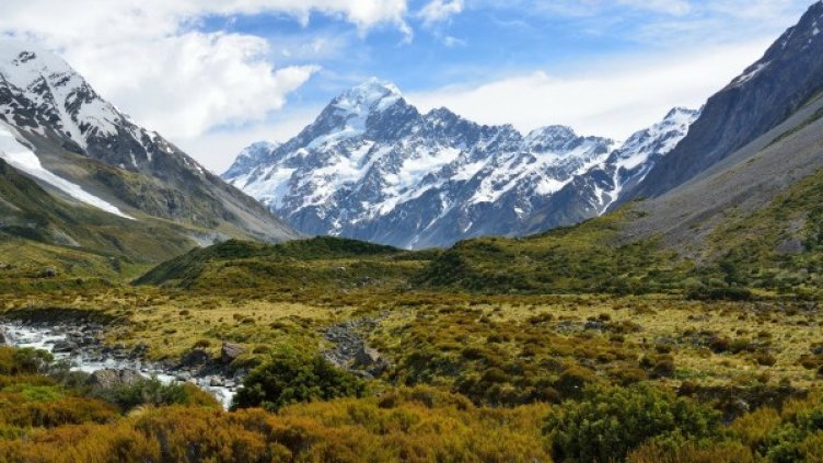 Снимка: Pixabay