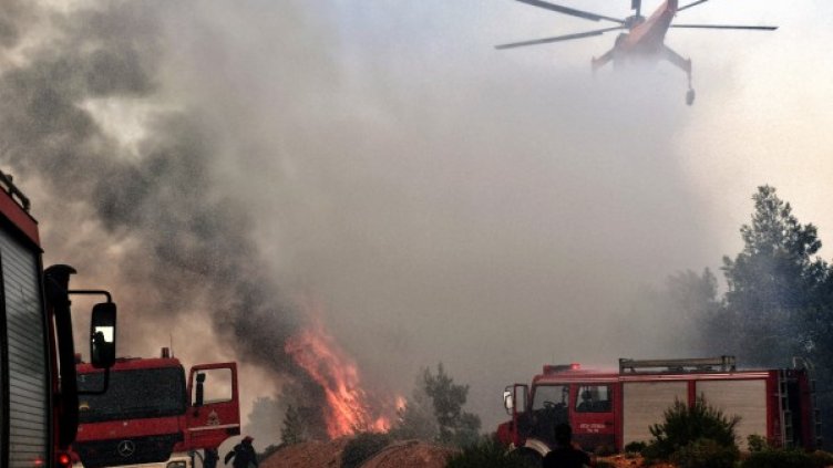 Снимка: БГНЕС