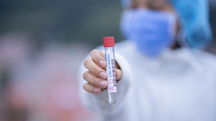 Снимка: Pixabay