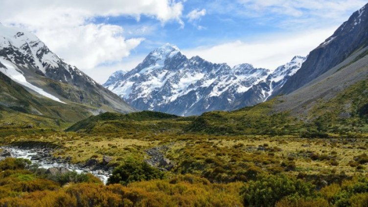 Снимка: Pixabay