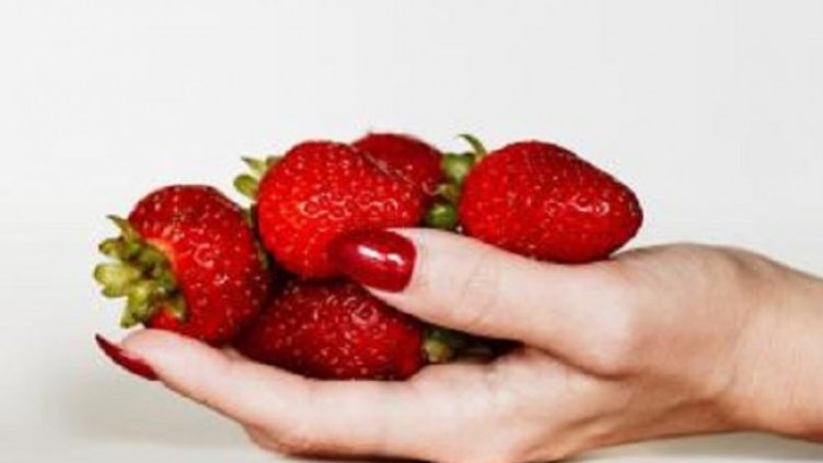 Снимка: Pixabay