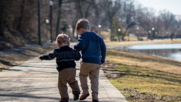 Снимка: Pixabay