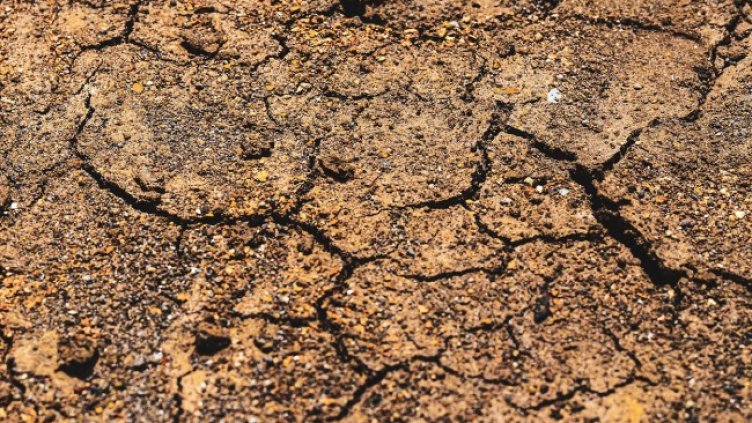 Снимка: Pixabay