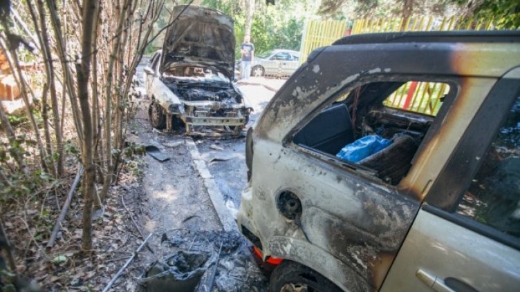 Снимка: Димитър Кьосемарлиев, Dnes.bg