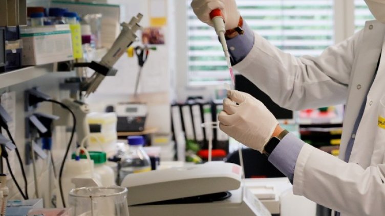 Снимка: архив, БГНЕС