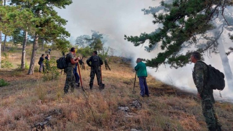 Снимка: БГНЕС