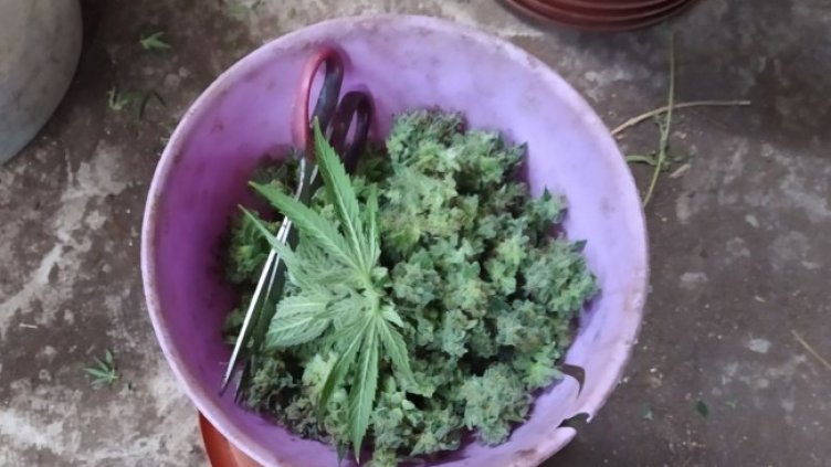 Снимка: БГНЕС, архив