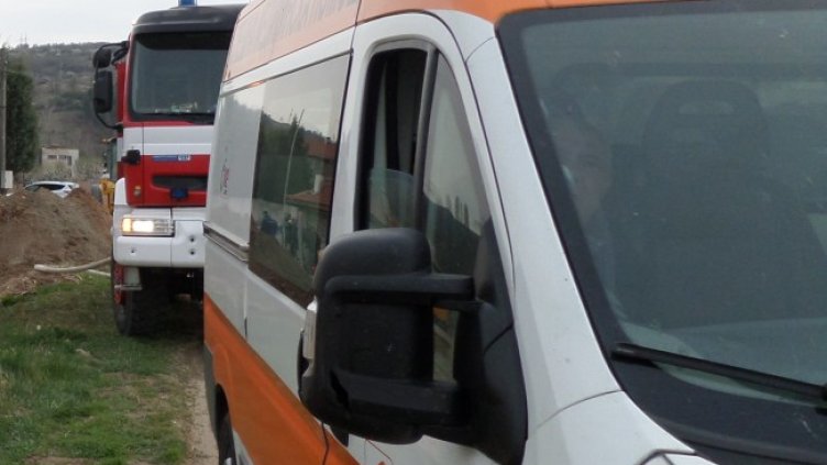 Снимка: архив, БГНЕС