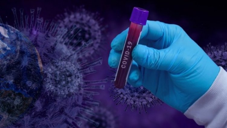 Снимка: Pixabay