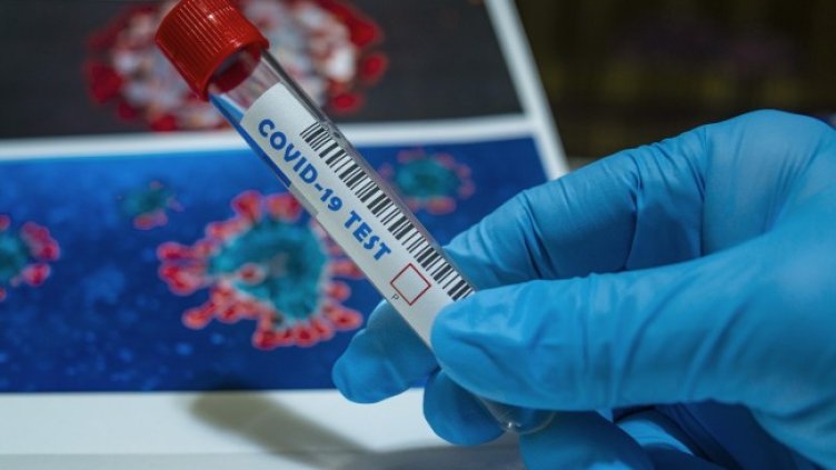 Снимка: Pixabay