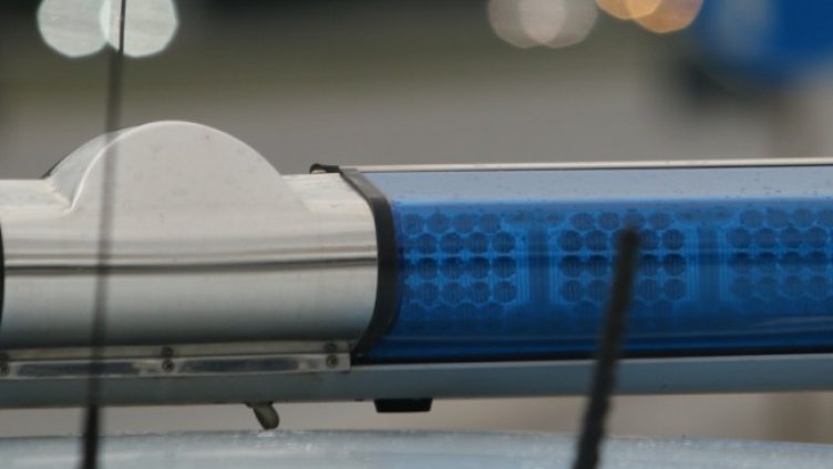 Снимка: архив, БГНЕС