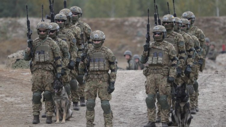 Снимка: архив, БГНЕС