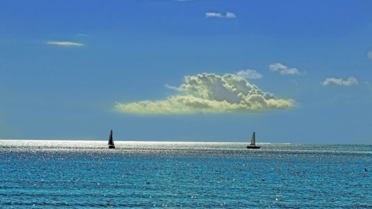 Снимка: Pixabay